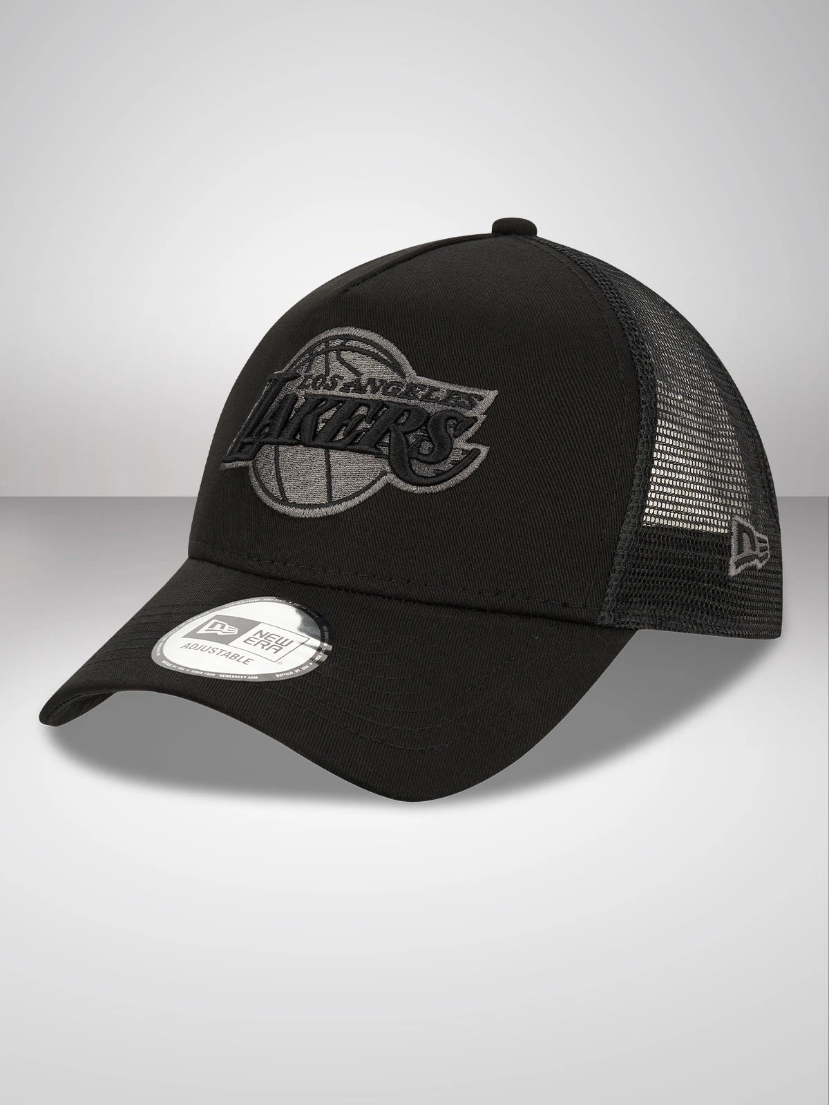 LA Lakers Tonal Black A-Frame Trucker Cap