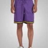 Los Angeles Lakers Basketball Performance Shorts